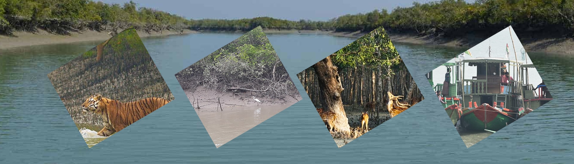 How can you go to Sundarban from Kolkata?