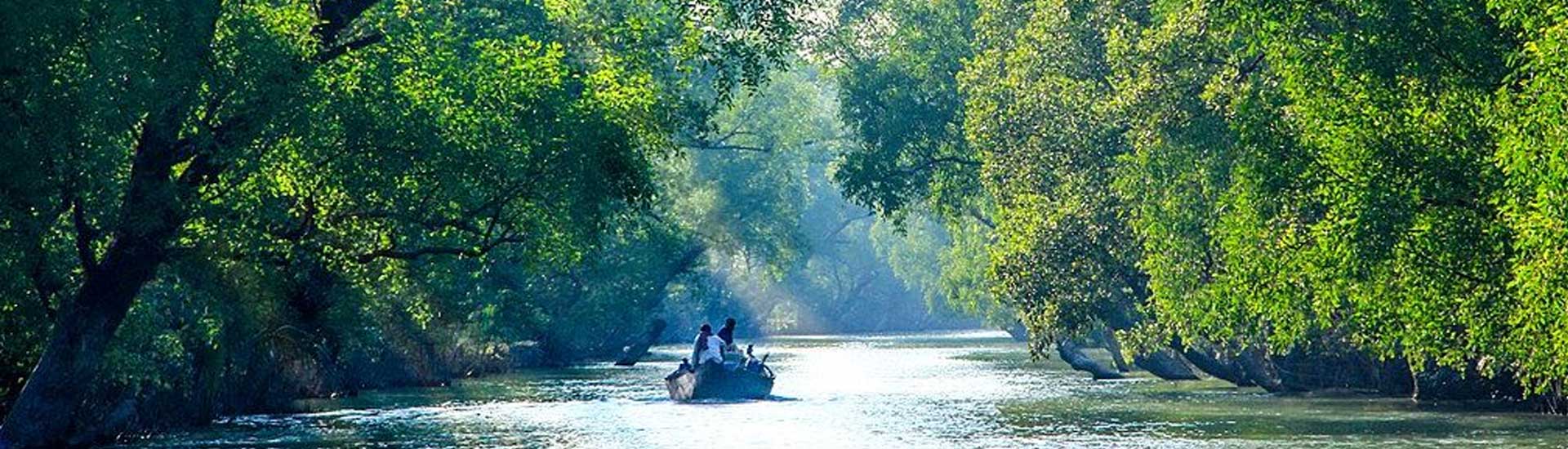 Why Sundarban is so refreshing?