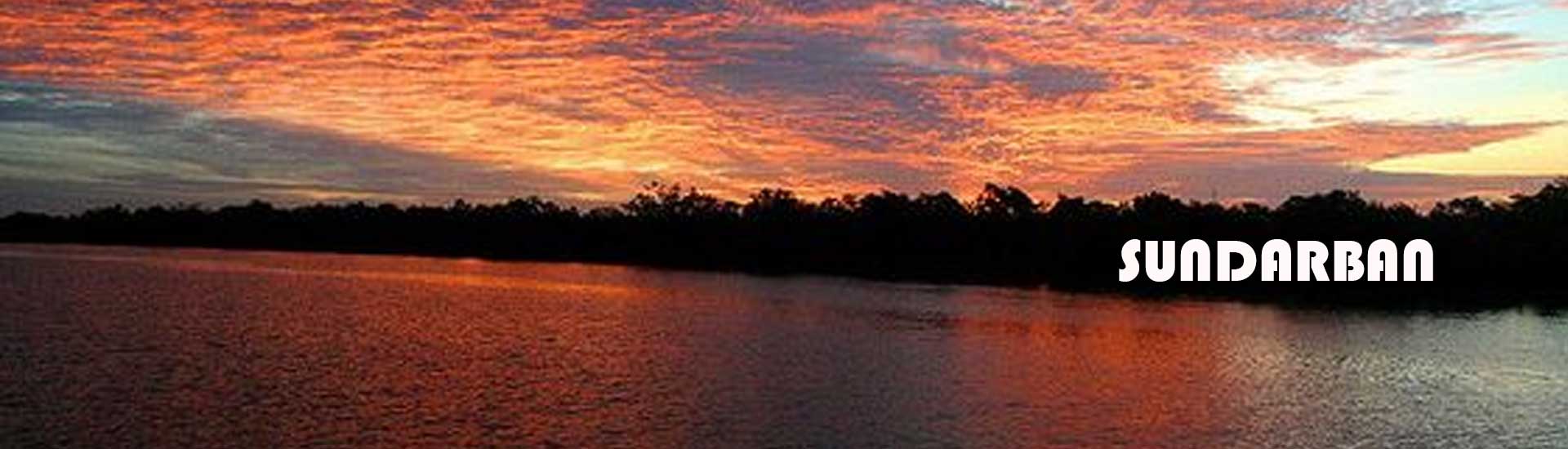 A Trip to Sundarban with Great Discoveries