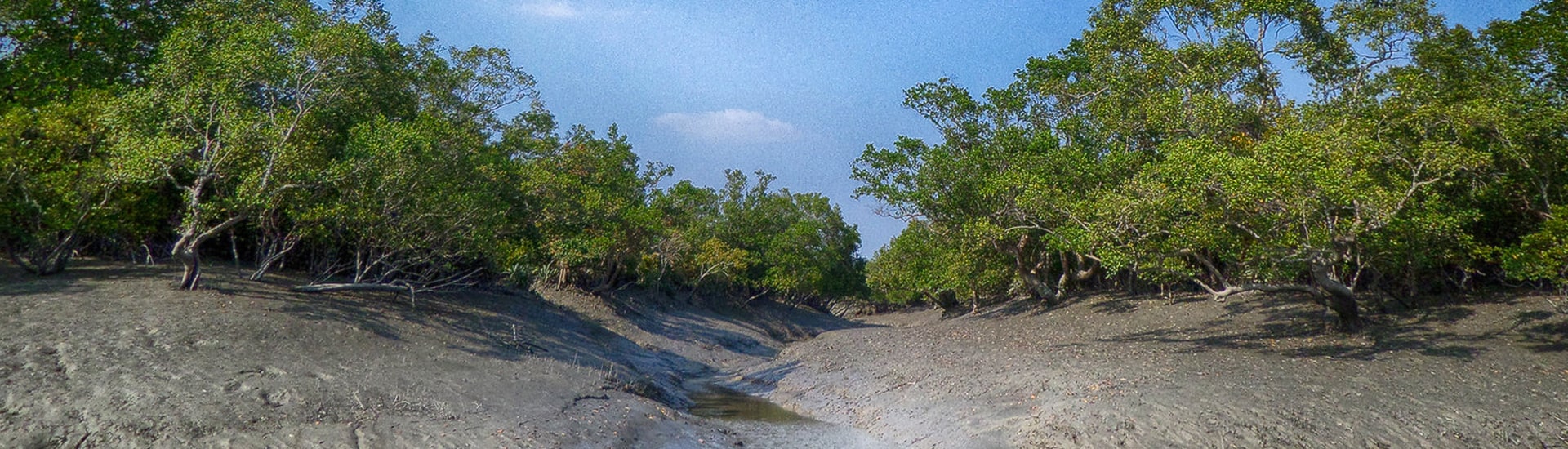 Why does sightseeing in Sundarban attract tourists more?