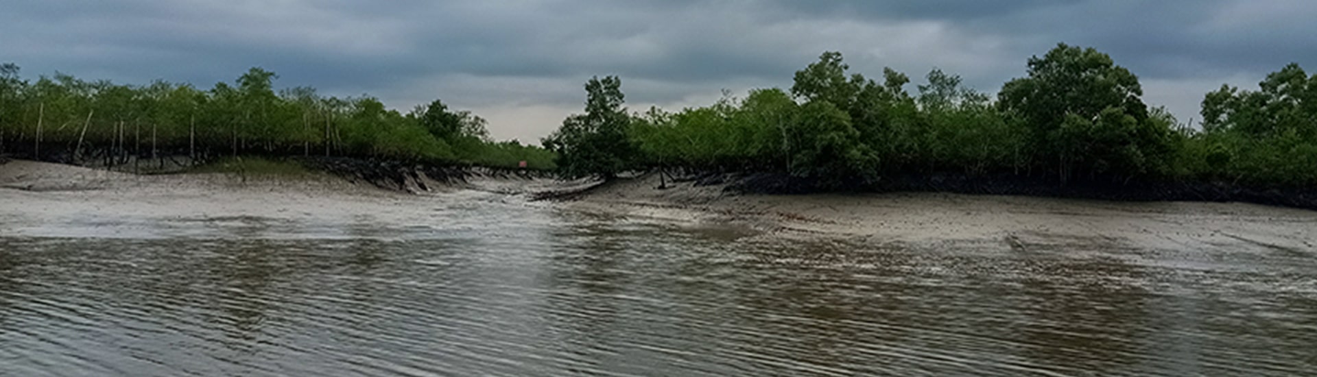 Sundarban and the people of Sundarban