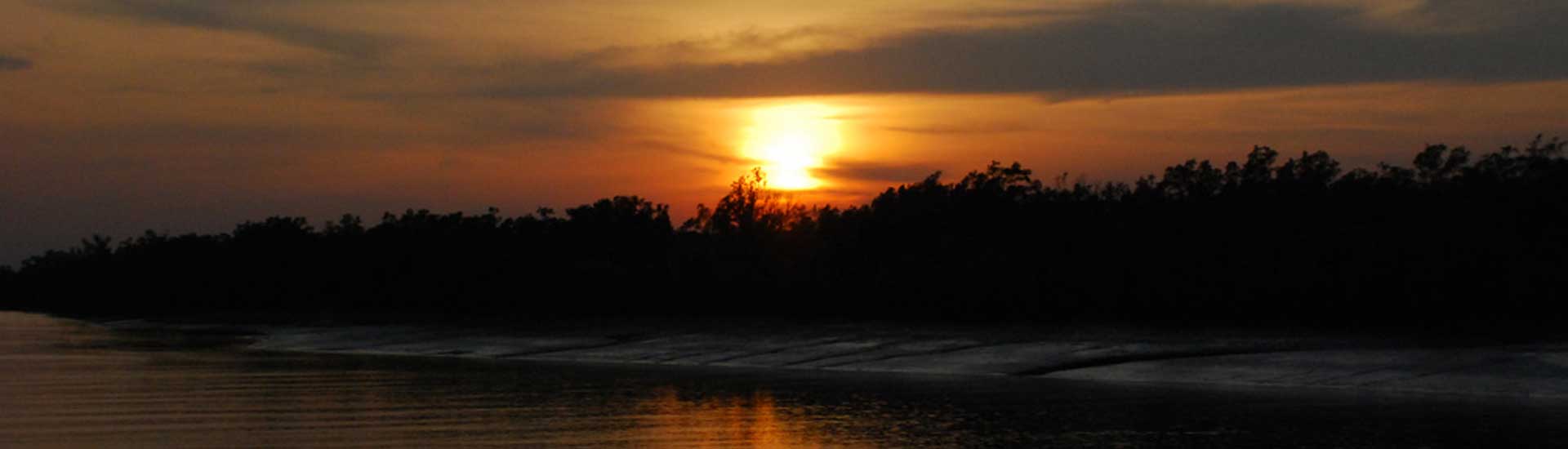 Easier & Safer Sundarban Travel Guidance during Covid-19