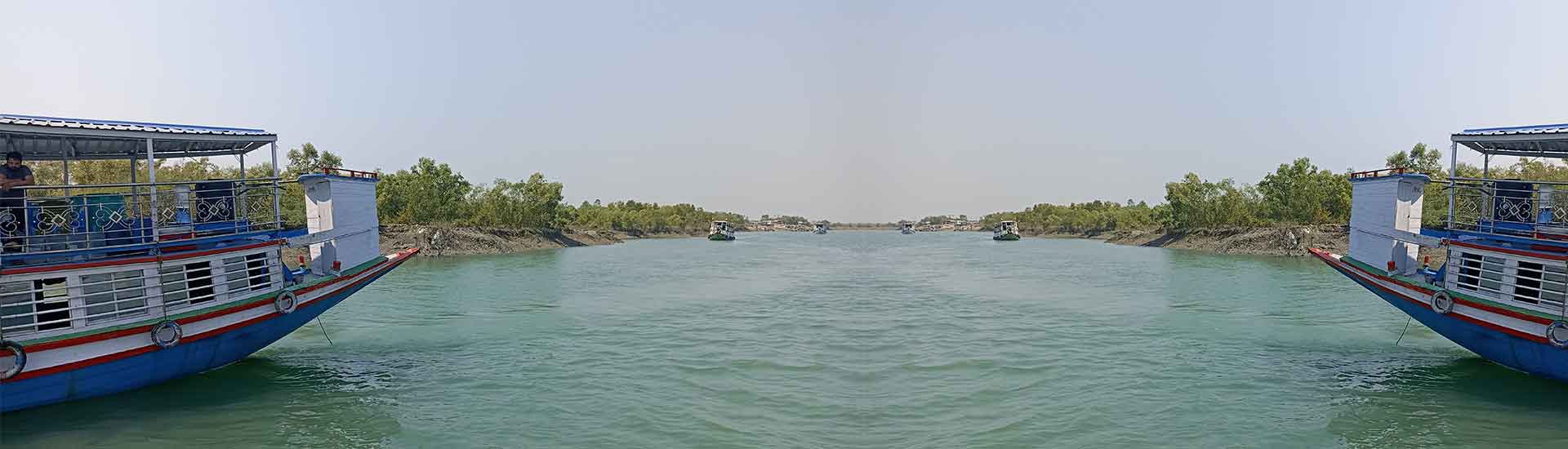 Why does Sundarban attract from all corners of the world?