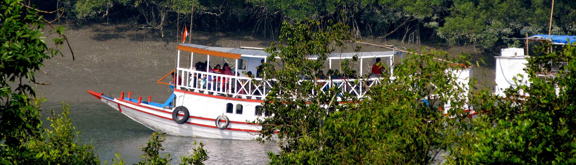 Why Sundarban National Park is famous?